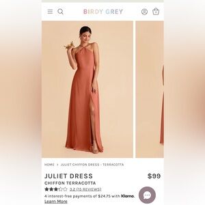 Birdy Grey Terracotta Dress